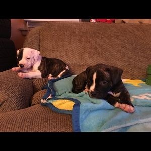 Meet your Posher, Eva